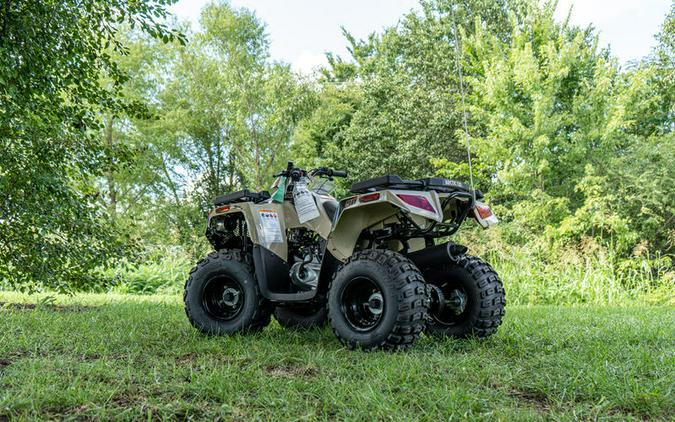 2022 Arctic Cat® Alterra 90