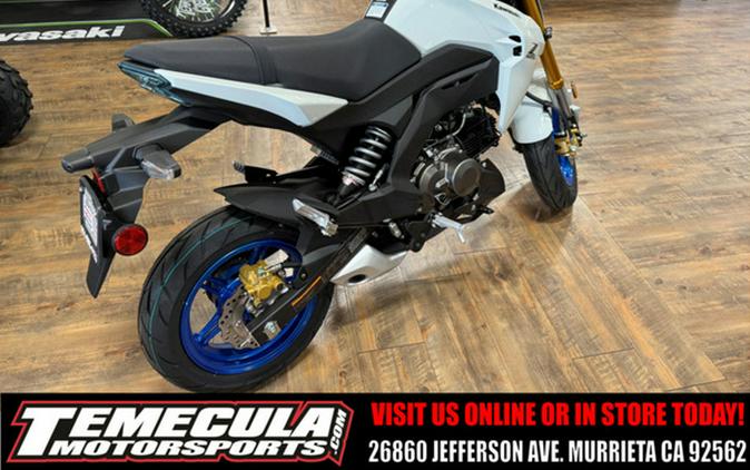 2026 Kawasaki Z125 PRO