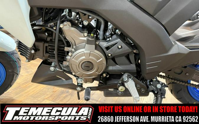 2026 Kawasaki Z125 PRO