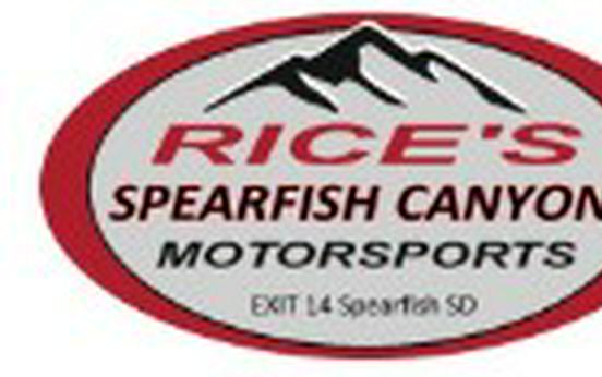 2020 Honda Talon 1000X-4