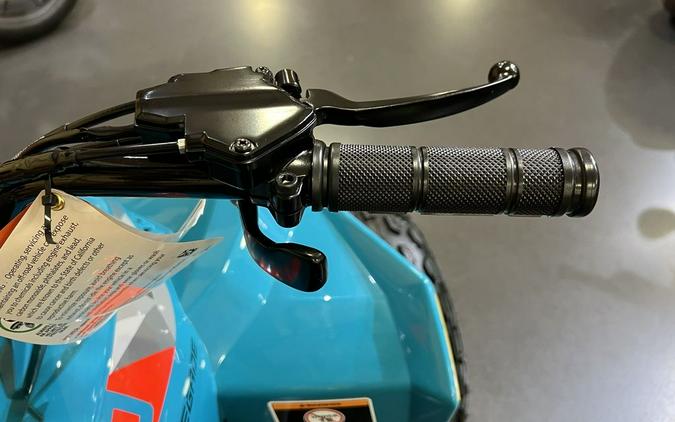 2026 Can-Am® Renegade 110 EFI