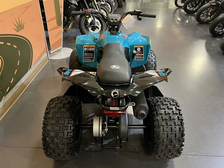 2026 Can-Am® Renegade 110 EFI