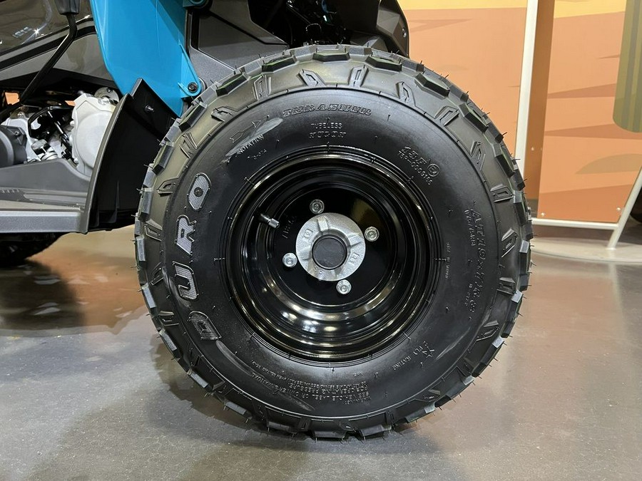 2026 Can-Am® Renegade 110 EFI