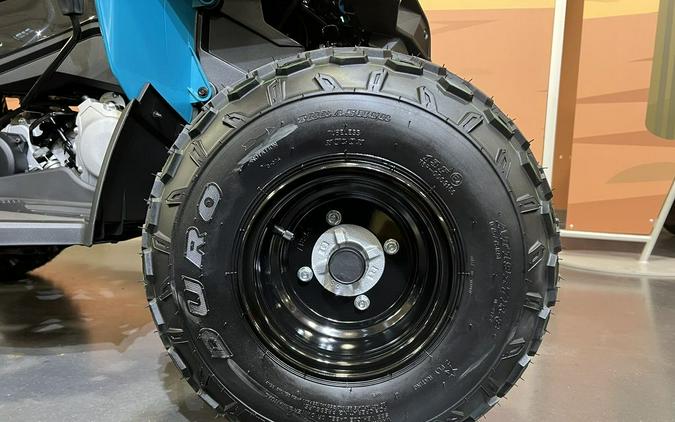 2026 Can-Am® Renegade 110 EFI