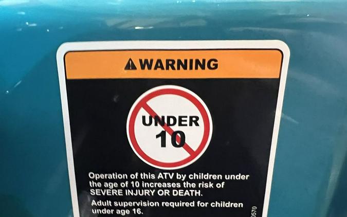 2026 Can-Am® Renegade 110 EFI