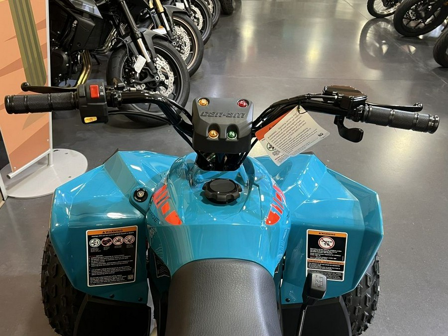 2026 Can-Am® Renegade 110 EFI