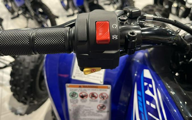 2026 Yamaha RAPTOR 110