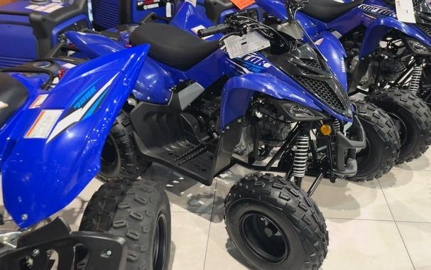 2026 Yamaha RAPTOR 110