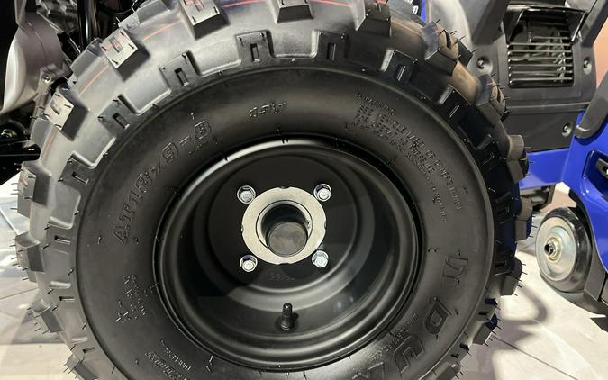 2026 Yamaha RAPTOR 110