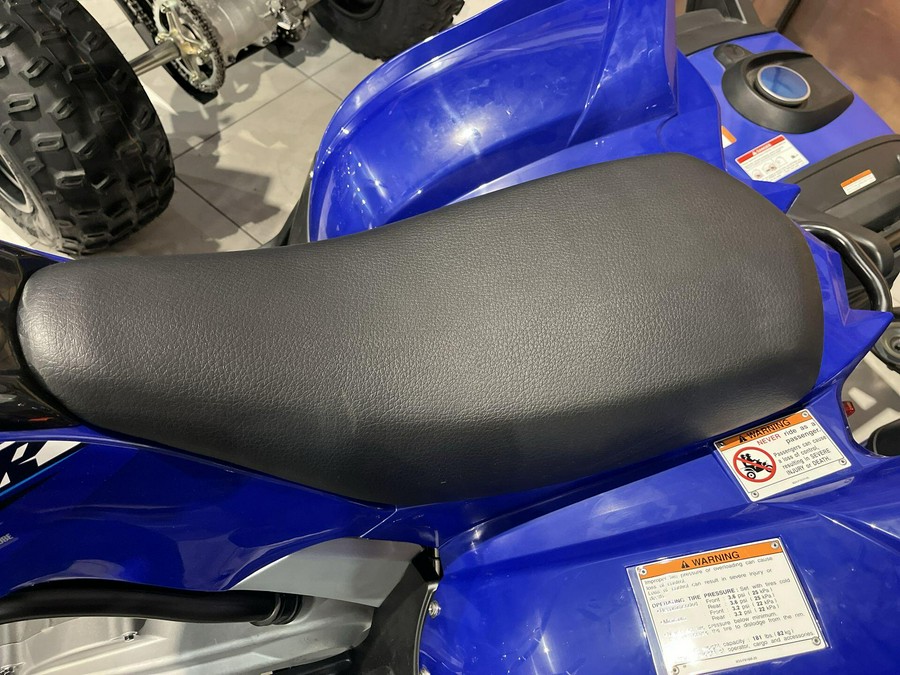 2026 Yamaha RAPTOR 110