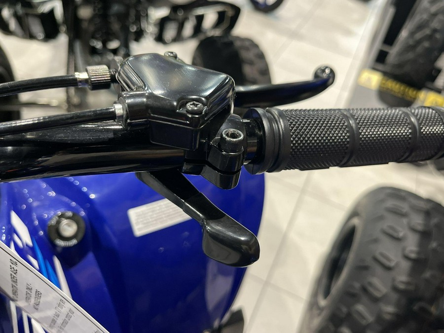 2026 Yamaha RAPTOR 110