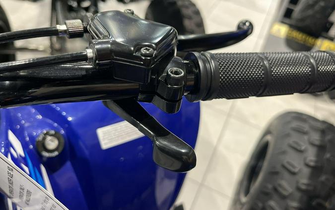 2026 Yamaha RAPTOR 110