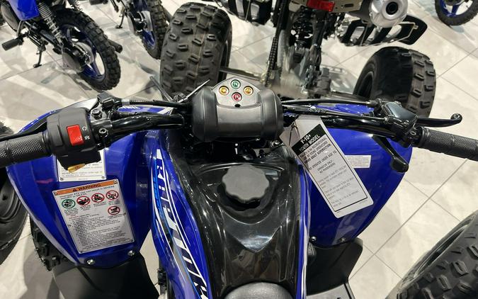 2026 Yamaha RAPTOR 110