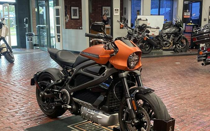 2020 Harley-Davidson LiveWire First Ride