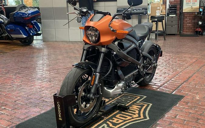 2020 Harley-Davidson LiveWire ELW