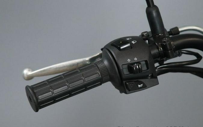 2026 Kawasaki W175 LTD