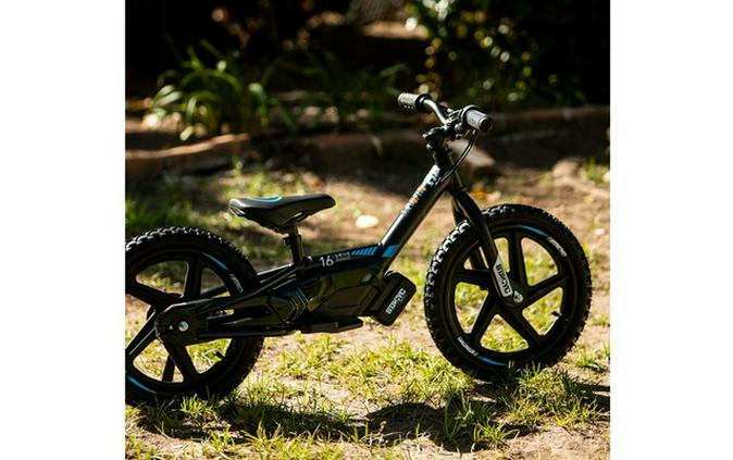 2022 STACYC Brushless 16E Drive