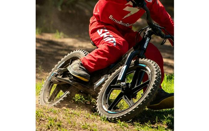 2022 STACYC Brushless 16E Drive