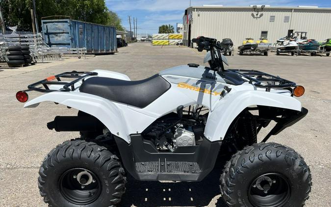 2024 Yamaha Grizzly 90