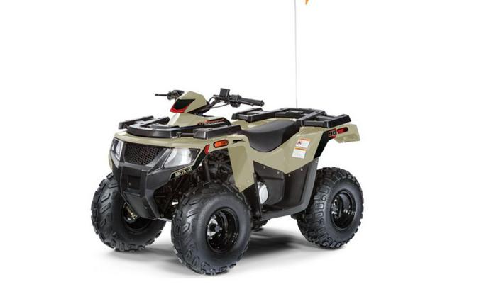 2024 Arctic Cat® Alterra 90