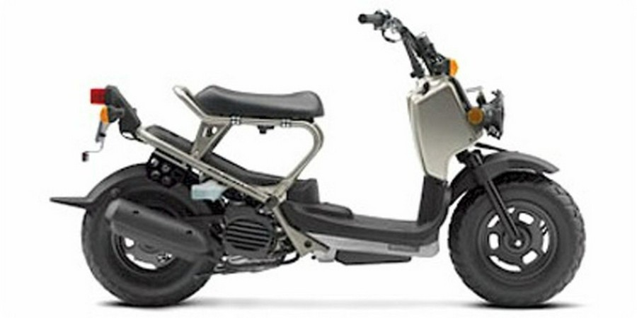 2008 Honda Ruckus