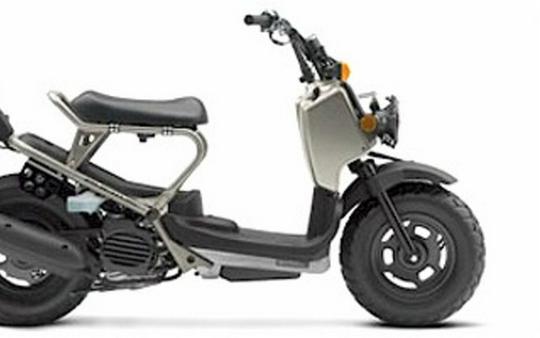 2008 Honda Ruckus