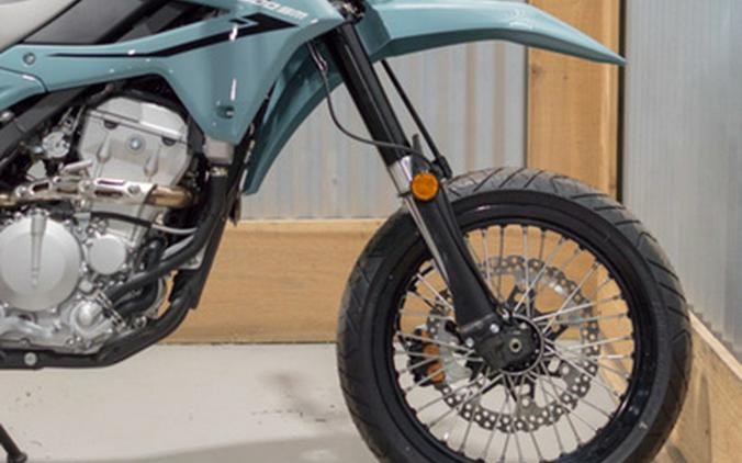 2025 Kawasaki KLX 300SM