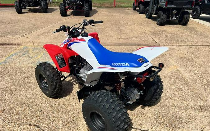 2026 Honda® TRX250X