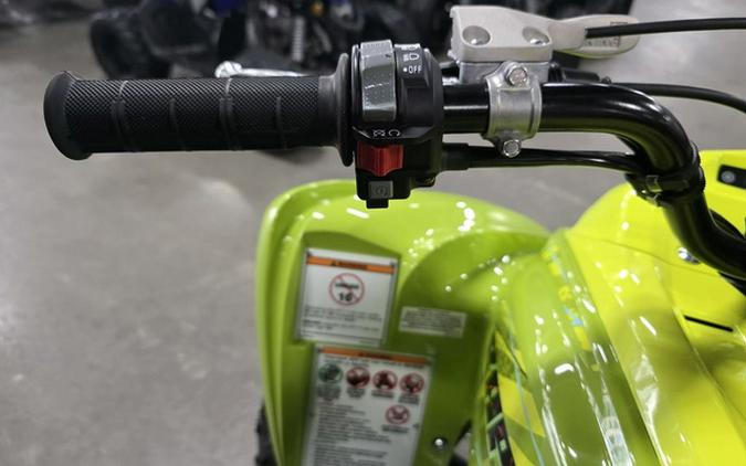 2026 Yamaha Raptor 700R SE