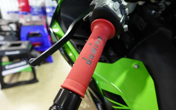 2024 Kawasaki Ninja ZX-10R KRT Edition