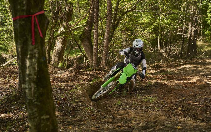 2026 Kawasaki KX 450X