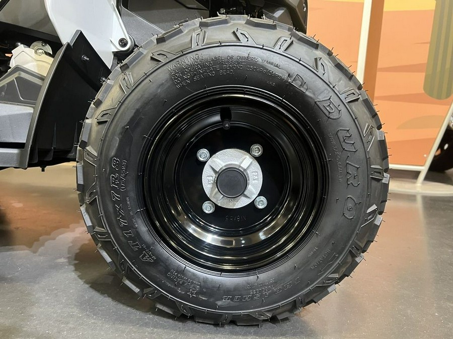 2026 Can-Am® Renegade 70 EFI