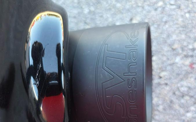 2017 Harley-Davidson Freewheeler