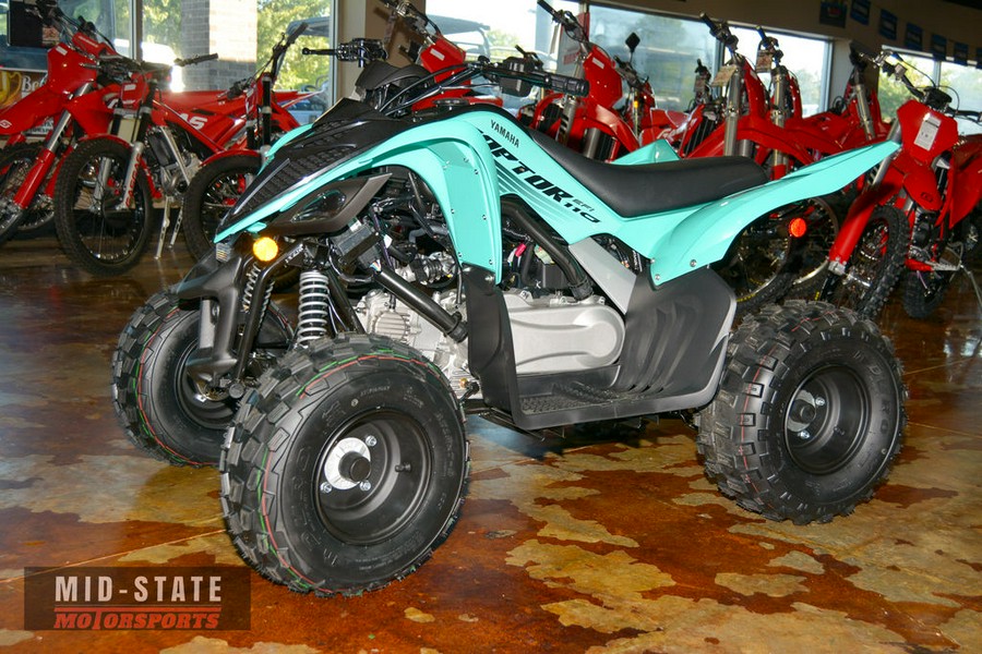 2025 Yamaha Raptor 110