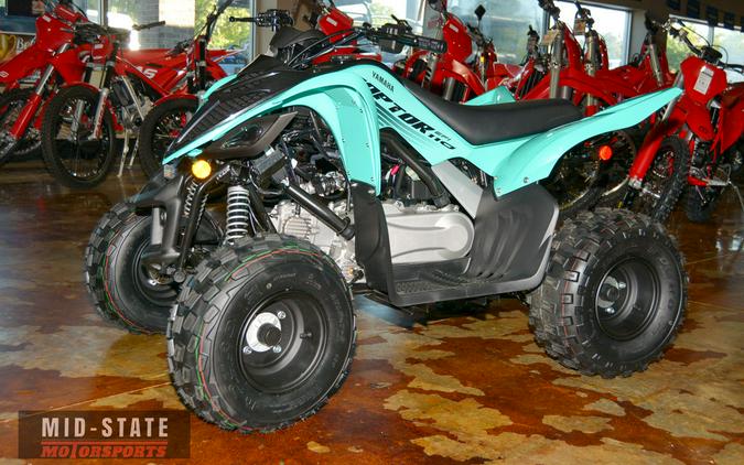 2025 Yamaha Raptor 110