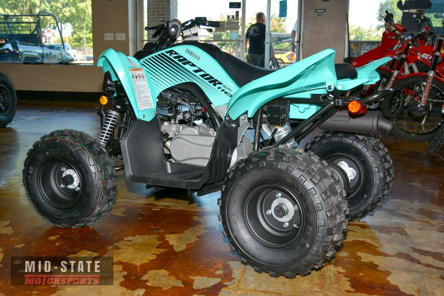 2025 Yamaha Raptor 110