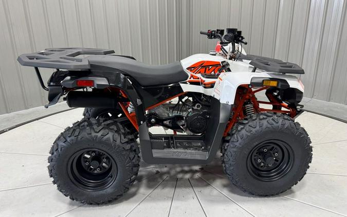 2024 Kayo Bull 180