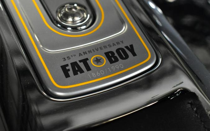 2025 Harley-Davidson Fat Boy Gray Ghost Reflection