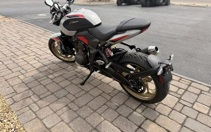 2026 Triumph Trident 800 Ash grey