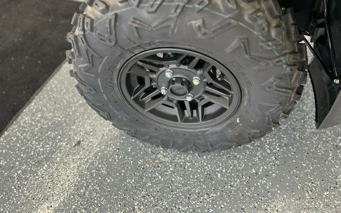 2025 Honda FourTrax Rubicon 700 4x4 Automatic