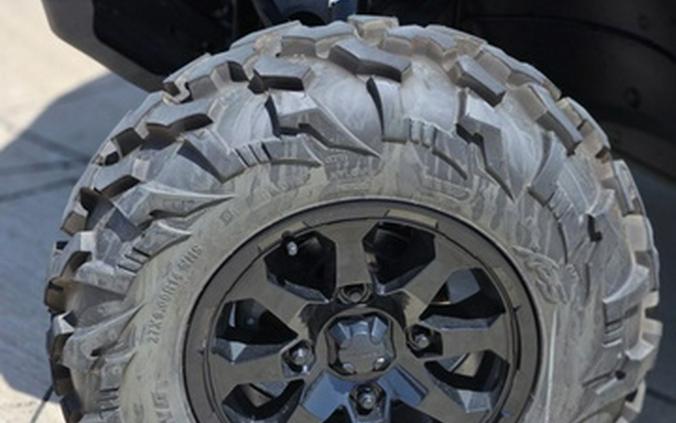 2026 Can-Am Defender DPS HD10