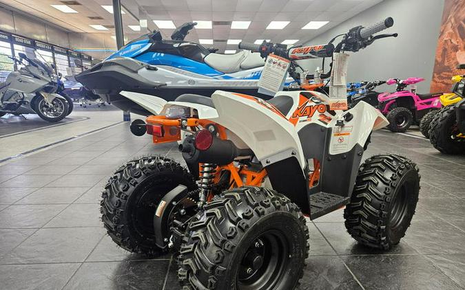 2026 Kayo Fox / Storm 70