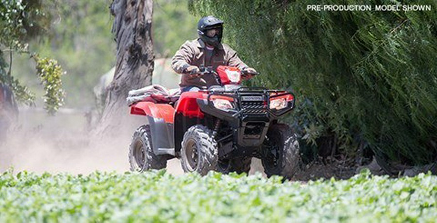 2017 Honda FourTrax Foreman Rubicon 4x4 EPS