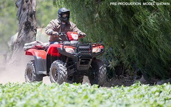 2017 Honda FourTrax Foreman Rubicon 4x4 EPS