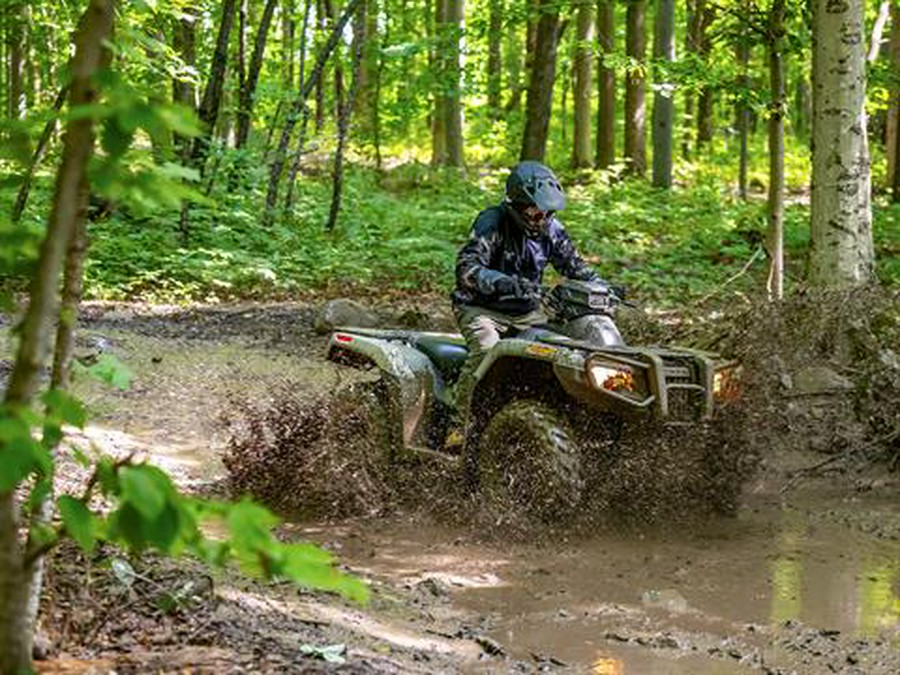 2026 Honda FourTrax Rubicon 700 4x4 Automatic