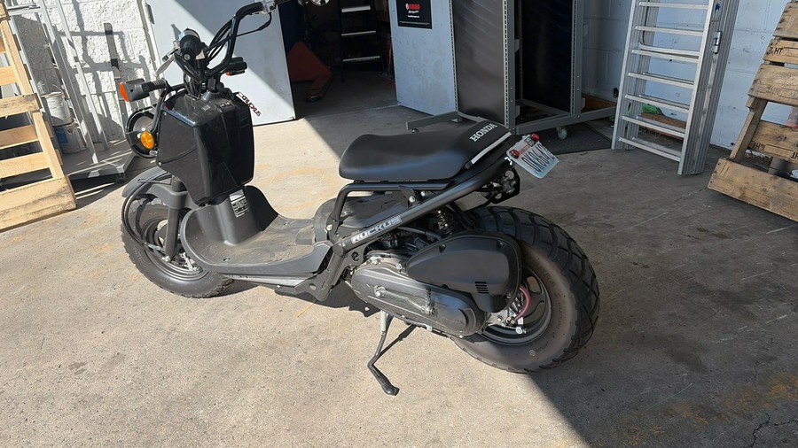2024 Honda RUCKUS