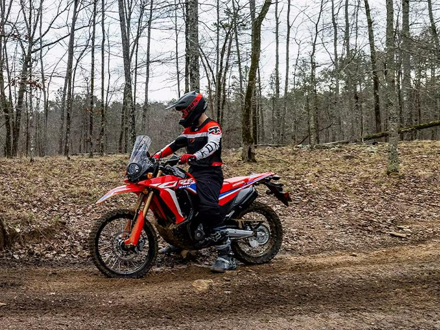 2024 Honda® CRF300L Rally