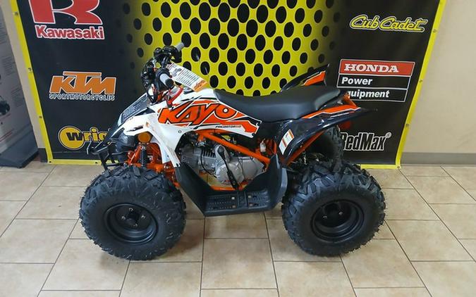 2025 Kayo 110 Predator