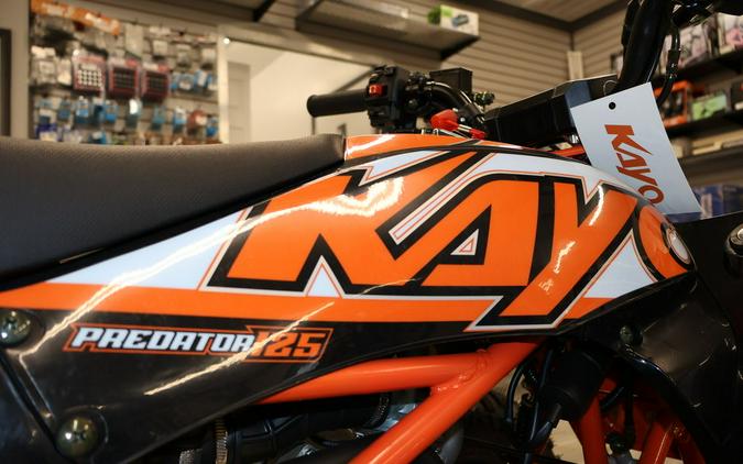 2023 Kayo 125 Predator