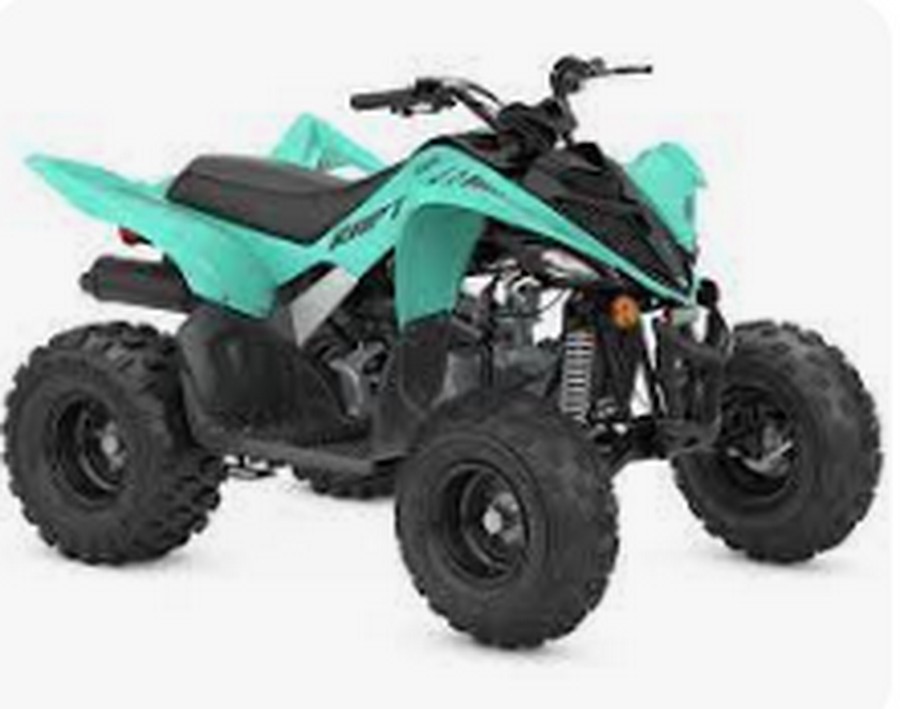 2024 Yamaha RAPTOR 110